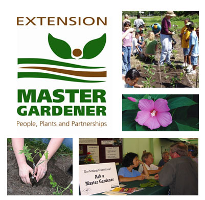 Extension Master Gardener